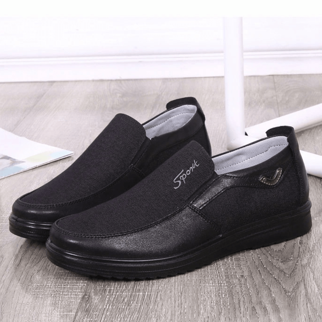 Lion Shoes