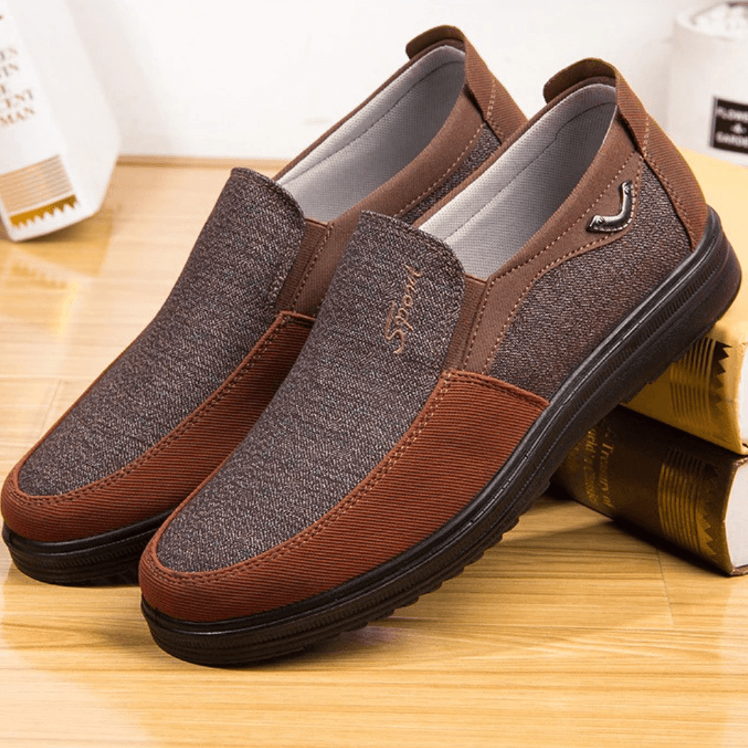 Lion Shoes