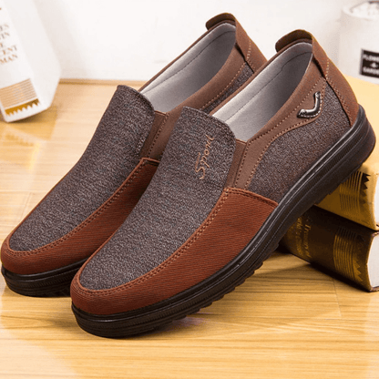 Lion Shoes