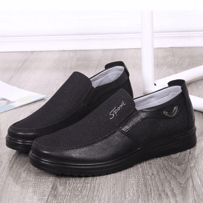 Lion Shoes