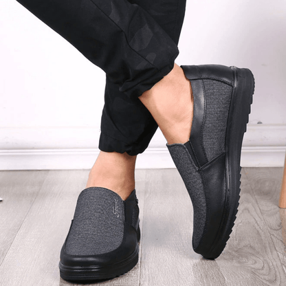 Lion Shoes