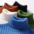 VINCÉNZIO Wool Sweater with Turtleneck