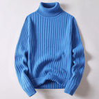 VINCÉNZIO Wool Sweater with Turtleneck