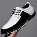 Oxford - Business Sneakers